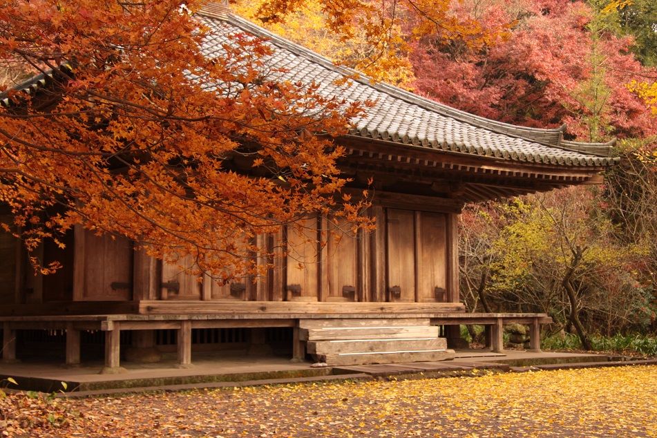 Fukiji Temple,National treasure,Autumn leaves 