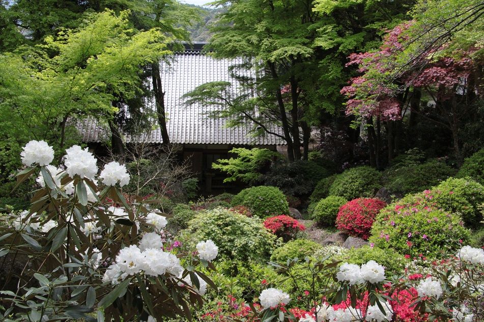 Temple de fleurs Chang&#039;an temple Shiroshi Hana yakusake