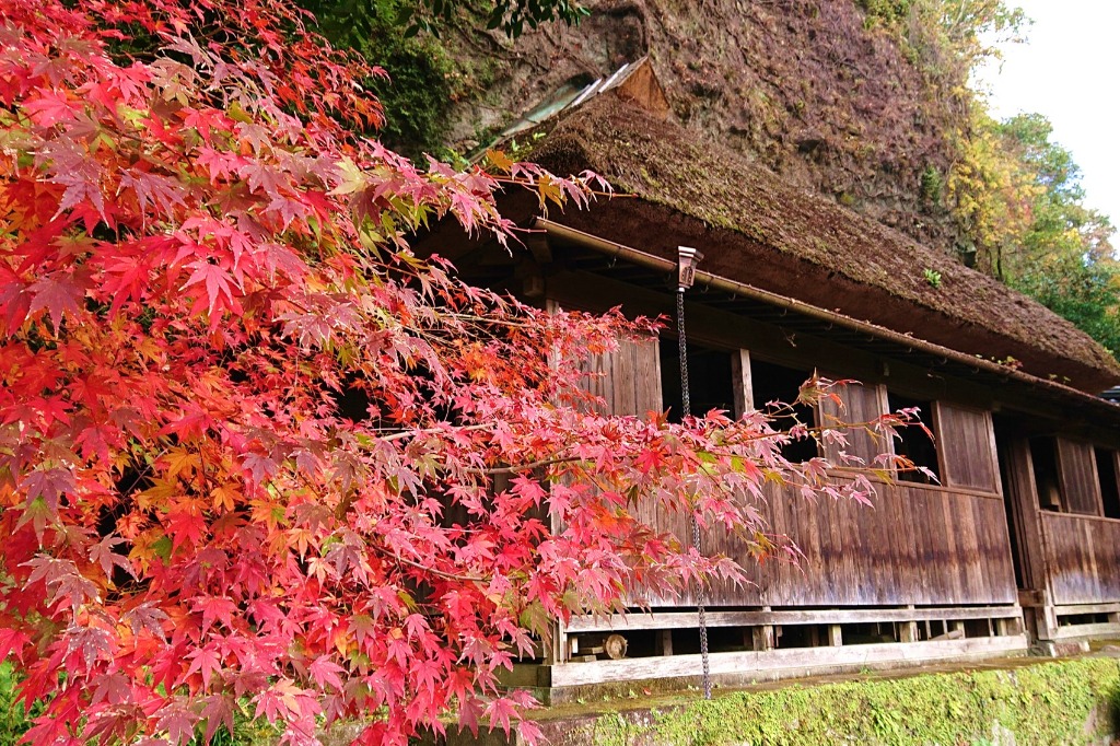 The autumn leaves of Tennenji temple