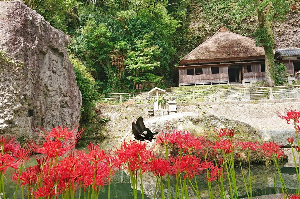 Kawanaka Fudo et les amaryllis et le temple Tennenji