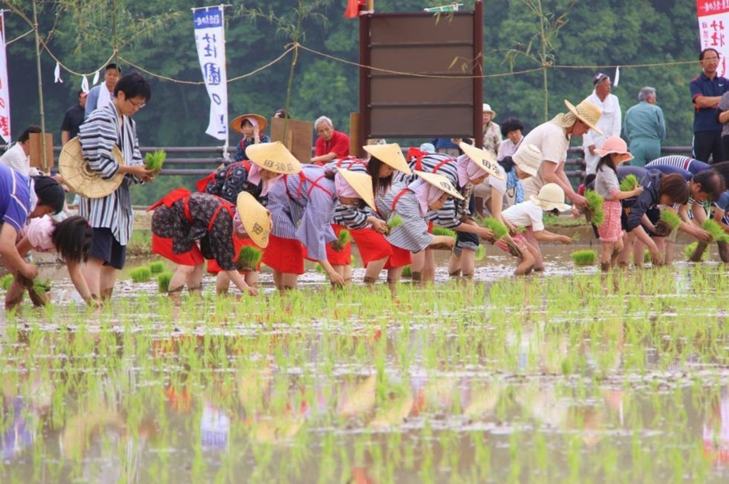 Festival de plantation de riz de Tashibunosho