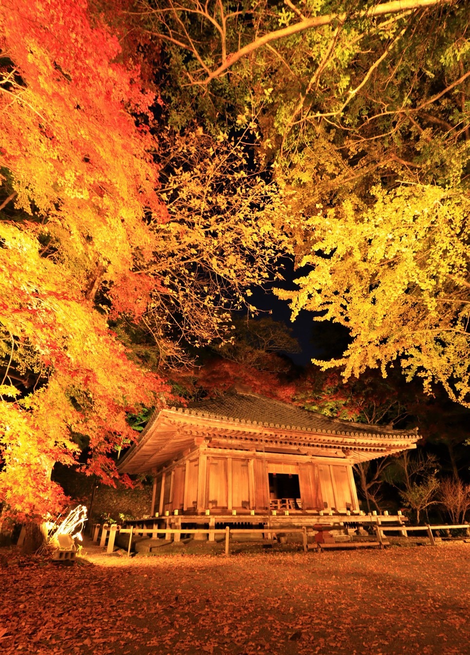 富貴寺大堂のライトアップ