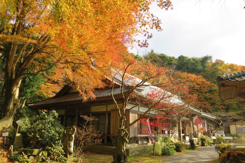 Les feuilles d&#039;automne du temple de Choanji